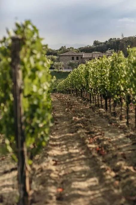 Wine Resort Campacci San Gusmè イタリア