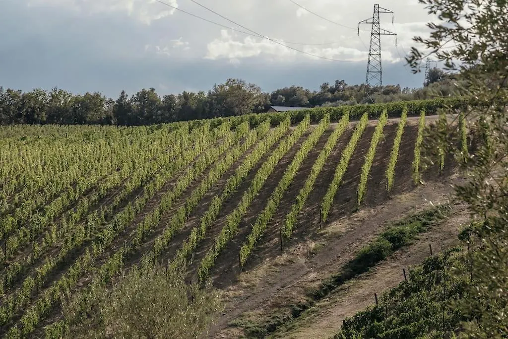 Wine Resort Campacci San Gusmè ヴィラ